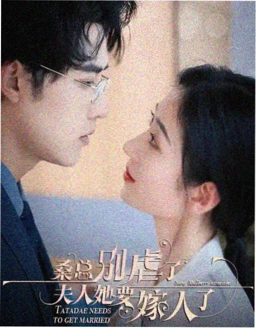 次元书库图标